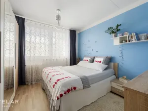 Prodej bytu 3+1, Veselí nad Moravou, Hutník, 75 m2
