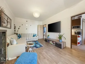 Prodej bytu 3+1, Veselí nad Moravou, Hutník, 75 m2