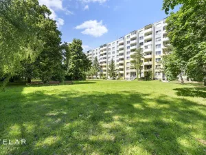 Prodej bytu 3+1, Veselí nad Moravou, Hutník, 75 m2