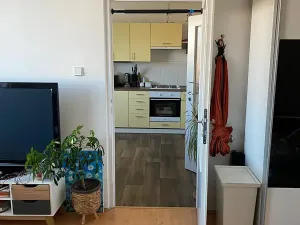 Prodej bytu 1+1, Teplice, Bratislavská, 41 m2