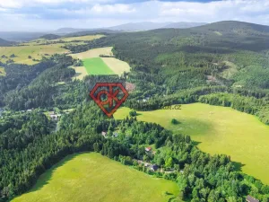 Prodej pozemku pro bydlení, Červená Voda, 616 m2