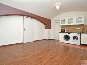 Prodej obchodního prostoru, Praha - Karlín, Březinova, 50 m2