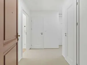 Pronájem bytu 3+kk, Praha - Nusle, Sezimova, 91 m2