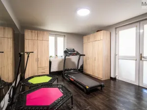 Prodej rodinného domu, Hýskov, Na Viničkách, 308 m2