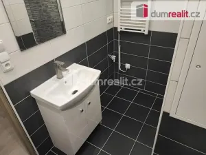 Pronájem bytu 1+1, Spálené Poříčí, Zámecká, 39 m2