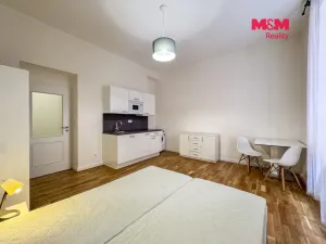 Pronájem bytu 1+kk, Praha - Nové Město, Petrská, 32 m2