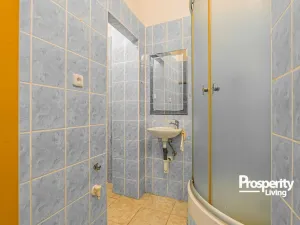 Prodej bytu 1+1, Karviná - Mizerov, tř. Těreškovové, 33 m2