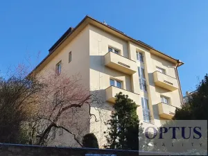 Pronájem bytu 1+kk, Praha - Podolí, Levá, 25 m2