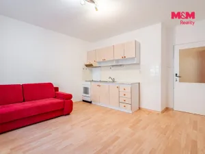 Prodej bytu 2+kk, České Budějovice - České Budějovice 3, Riegrova, 44 m2