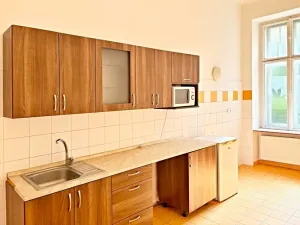 Pronájem bytu 6+kk a větší, Brno, Křížová, 235 m2