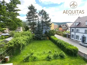 Prodej vícegeneračního domu, Nové Město pod Smrkem, Žižkova, 205 m2