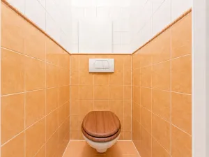 Prodej bytu 3+1, Olomouc - Hodolany, Jungmannova, 72 m2