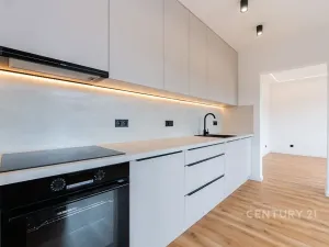 Prodej bytu 3+1, Most, Jaroslava Vrchlického, 68 m2