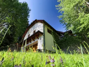 Prodej vily, Přední Výtoň, Frýdava, 298 m2
