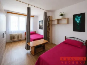 Prodej bytu 2+1, Sušice, Na Hrázi, 56 m2