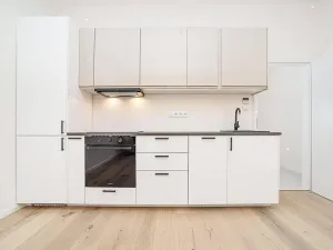 Pronájem bytu 1+kk, Praha - Michle, Brtnická, 30 m2