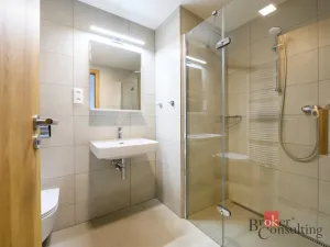 Pronájem bytu 2+kk, Plzeň - Východní Předměstí, Pallova, 56 m2