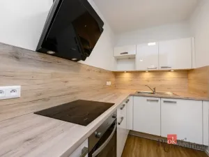 Pronájem bytu 2+kk, Plzeň - Východní Předměstí, Pallova, 56 m2