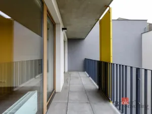 Pronájem bytu 2+kk, Plzeň - Východní Předměstí, Pallova, 56 m2
