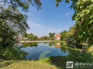 Prodej pozemku pro bydlení, Vysoká - Strážnice, 1607 m2