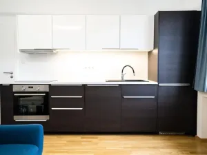 Pronájem bytu 1+kk, Praha - Nusle, U Pernštejnských, 30 m2
