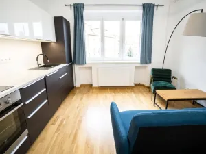 Pronájem bytu 1+kk, Praha - Nusle, U Pernštejnských, 30 m2