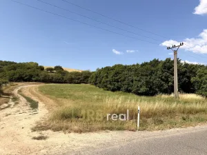 Prodej komerčního pozemku, Boleradice, 3025 m2