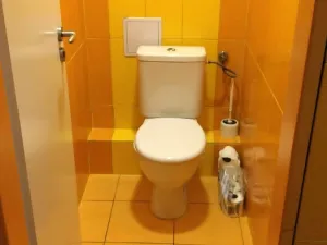 Pronájem bytu 5+1, Brno, Masarykova, 140 m2