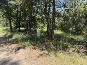 Prodej pozemku pro bydlení, Gruna - Žipotín, 3632 m2