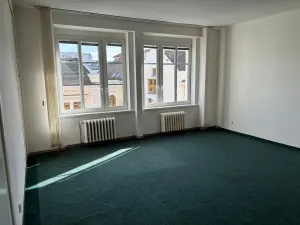 Pronájem bytu 1+1, Kladno, T. G. Masaryka, 66 m2