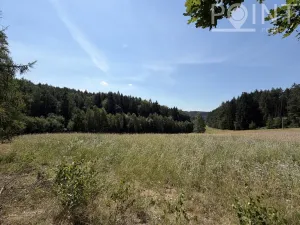 Prodej komerčního pozemku, Gruna - Žipotín, 3632 m2