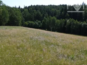 Prodej komerčního pozemku, Gruna - Žipotín, 3632 m2