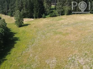 Prodej komerčního pozemku, Gruna - Žipotín, 3632 m2