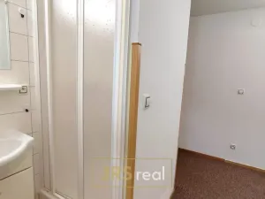 Pronájem bytu 1+1, Velké Pavlovice, 31 m2