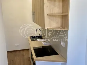 Pronájem bytu 1+1, Králův Dvůr - Počaply, Plzeňská, 35 m2