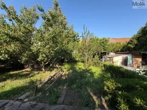Prodej zahrady, Havraň, 513 m2