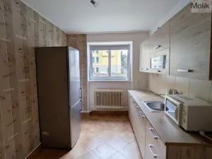 Pronájem bytu 2+1, Teplice, Maxe Švabinského, 60 m2