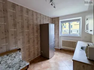 Pronájem bytu 2+1, Teplice, Maxe Švabinského, 60 m2