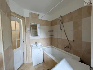 Pronájem bytu 2+1, Teplice, Maxe Švabinského, 60 m2