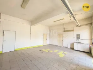 Pronájem výrobních prostor, Karviná, Bohumínská, 106 m2