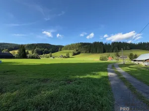 Prodej pozemku pro bydlení, Velké Karlovice, 17000 m2