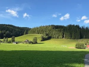 Prodej pozemku pro bydlení, Velké Karlovice, 17000 m2