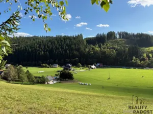 Prodej pozemku pro bydlení, Velké Karlovice, 17000 m2
