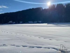 Prodej pozemku pro bydlení, Velké Karlovice, 17000 m2