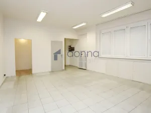 Pronájem obchodního prostoru, Praha, Štěpánská, 81 m2