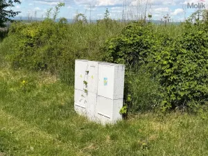 Prodej pozemku pro bydlení, Skršín, 962 m2