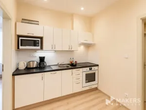 Pronájem bytu 1+1, Praha - Vinohrady, Máchova, 40 m2