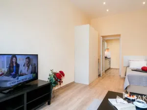 Pronájem bytu 1+1, Praha - Vinohrady, Máchova, 40 m2