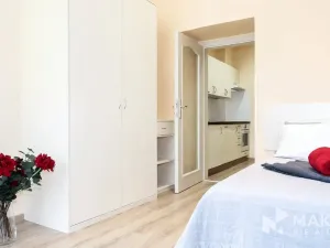 Pronájem bytu 1+1, Praha - Vinohrady, Máchova, 40 m2