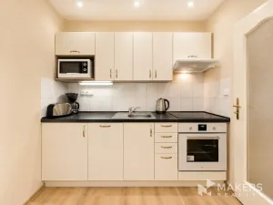 Pronájem bytu 1+1, Praha - Vinohrady, Máchova, 40 m2